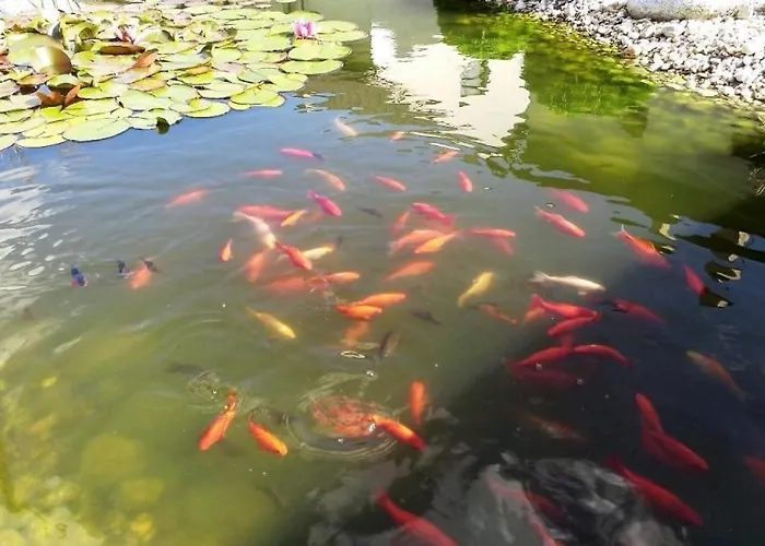 Vika Casa vacanze Štrba